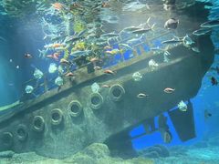 -福州罗源湾海洋世界旅游区