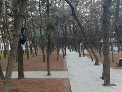 -林海公园