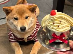 -破摊·东北烧烤(观前街店)