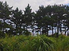 -柱状节理带