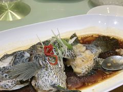 -胶东人家(奥体中心店)