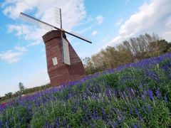 -北纬44度·金珠花海休闲农业旅游景区