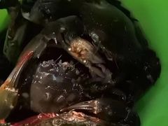 -大连蚂蚁岛度假区