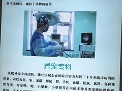 -北京观赏动物医院·24小时大型综合·猫专科·异宠专科