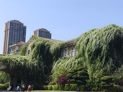 -府河摄影公园