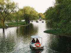 -上海共青森林公园