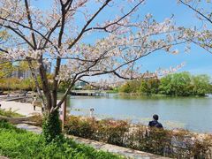 -新江湾城公园
