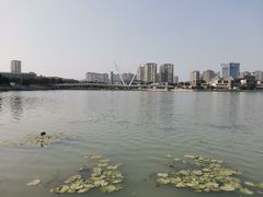-映月湖中央公园