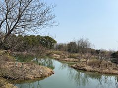 -梁鸿国家湿地公园