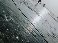 -丁香湖公园