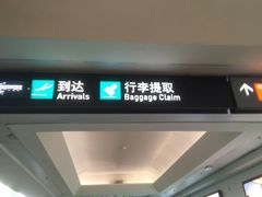 -厦门高崎国际机场-T3航站楼