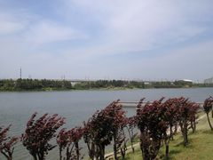 -美兰湖景区