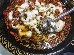 沸腾水煮鱼-金三可市井水煮鱼(金碧园店)