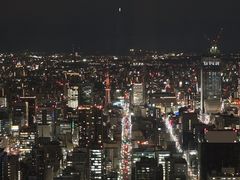 -名古屋城