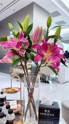 -崇尚GAVIN STYLE臻选