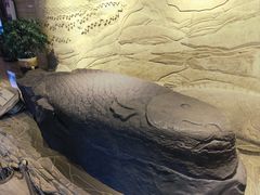 -白鹤梁水下博物馆