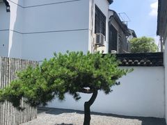 -御面斋精品面馆