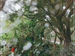 -广州市石门国家森林公园
