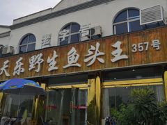 门面-天乐农家鱼头王(天目湖店)