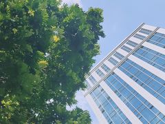 -深圳国际园林花卉博览园