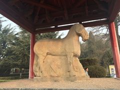 -茂陵博物馆
