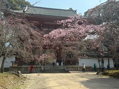 -醍醐寺