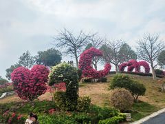 -东莞植物园