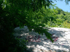 -王顺山国家森林公园