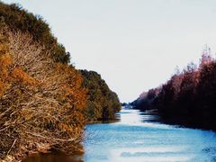 -上海海湾国家森林公园