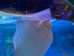 -沈阳海洋探索中心