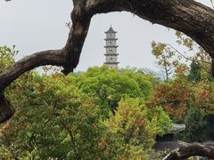 -江心屿景区