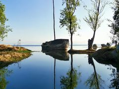 -洱海月湿地公园