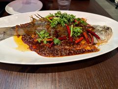 -单家老院·院子里的青岛菜(沙子口店)