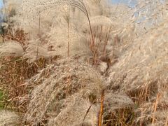 -同济大学(嘉定校区)