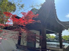 -无锡蠡湖国家湿地公园-蠡园