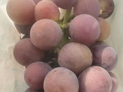 -马陆小张葡萄园农家乐