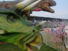 -菊园百果园