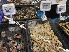 -盒马X会员店(上海森兰商都店)
