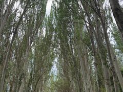 -艾提尕尔清真寺