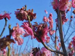 -蜀冈西峰生态公园