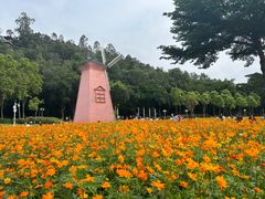 -顺峰山公园
