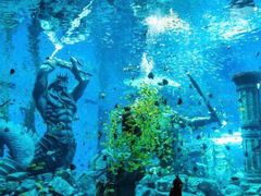 -波塞冬旅游度假区