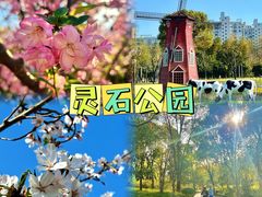 -大宁公园