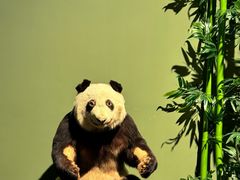-深圳博物馆历史民俗馆