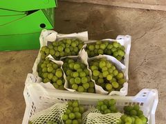 -马陆小张葡萄园农家乐