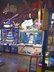 -卡通尼·Safari非洲探索乐园·生日会(金桥国际商业广场店)