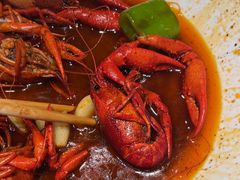 -杨氏青龙虾·羊蝎子(珠江路店)