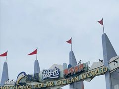-海合安成都极地海洋公园