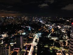 -新加坡瑞士史丹福酒店