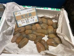 红烧沙蒜-拉完海鲜大排档(温岭店)